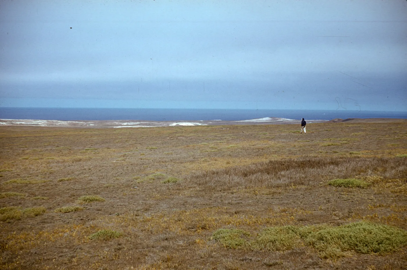San Miguel Island, grassy mesa west of Green Mountain