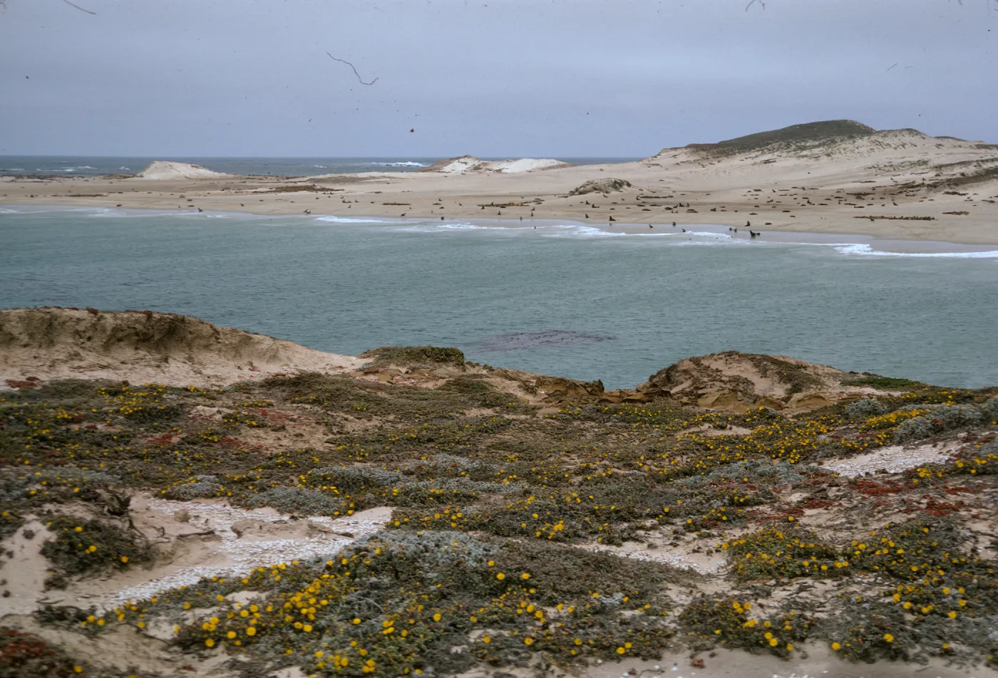 San Miguel Island