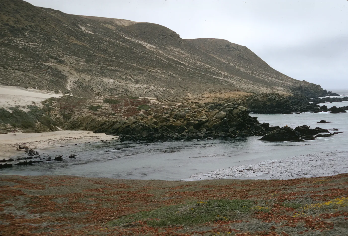 San Miguel Island