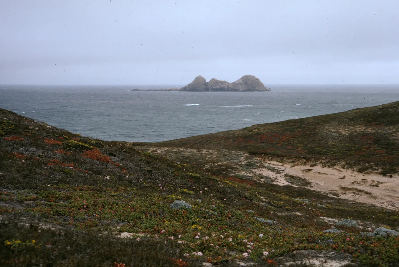 Castle Rock, San Miguel Island