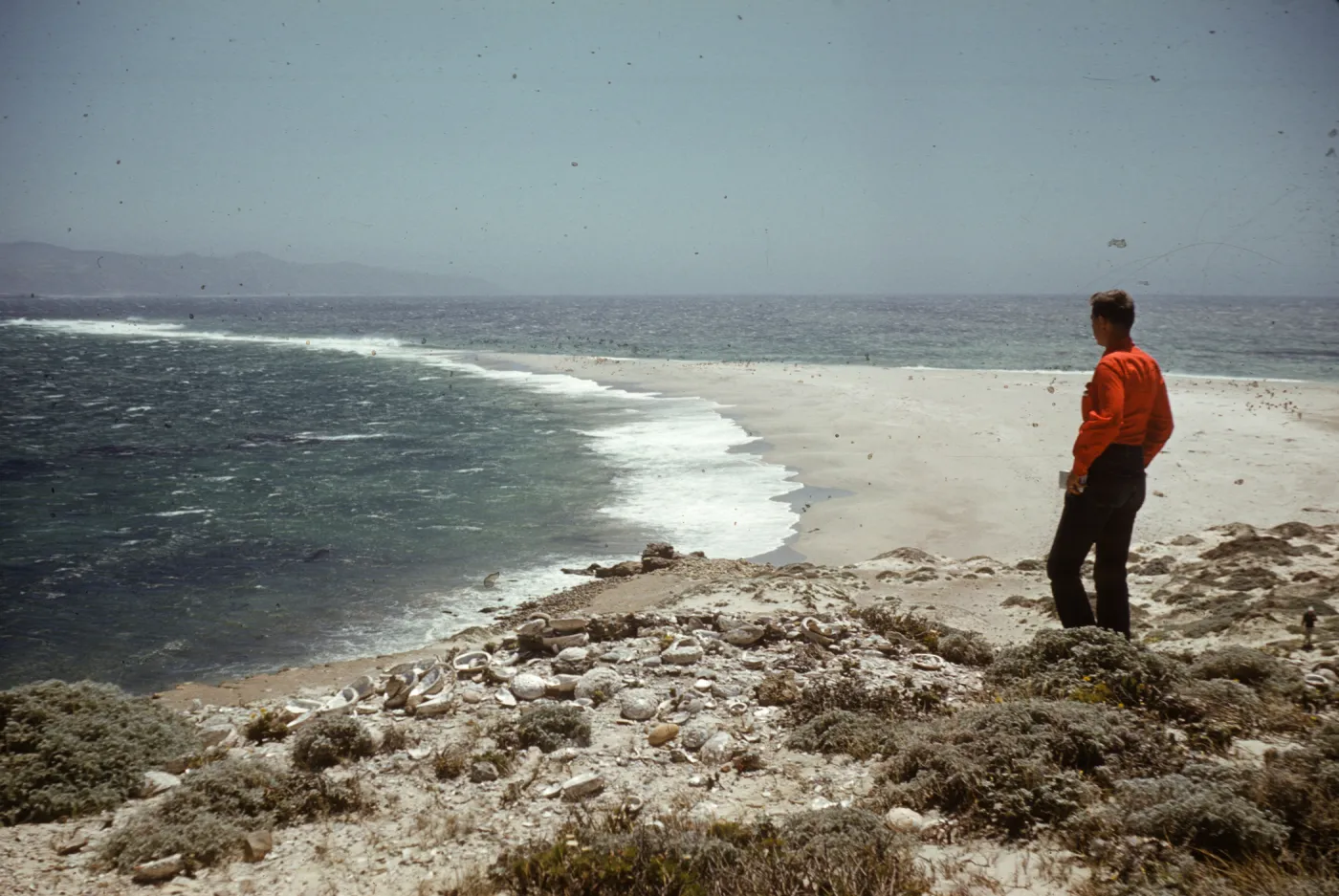 San Miguel Island, Cardwell Point