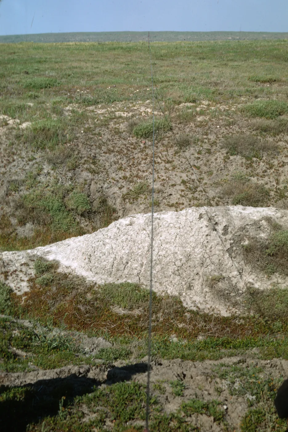 San Miguel Island, NPS transect