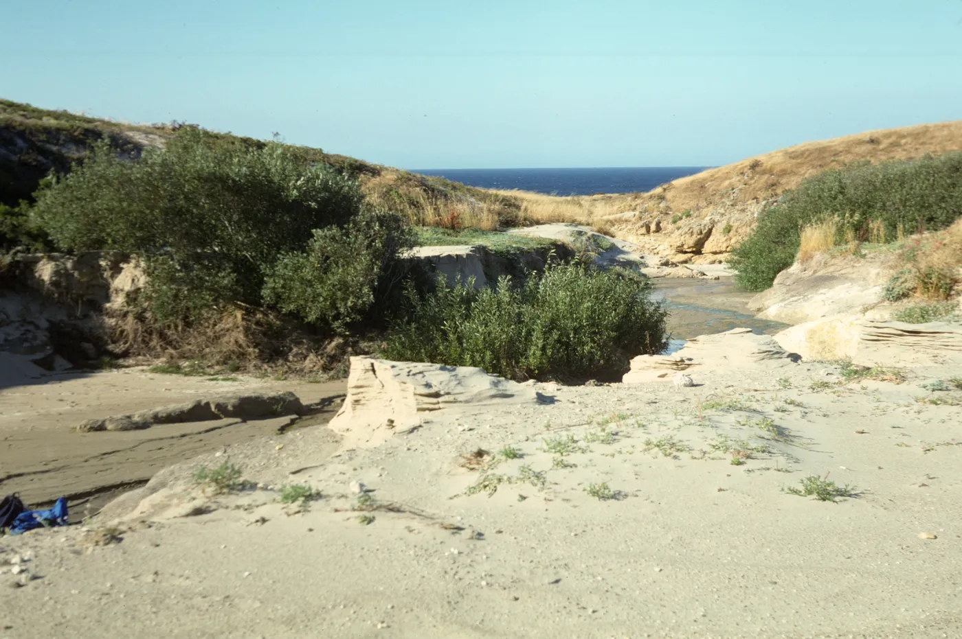 San Miguel Island, Willow Canyon