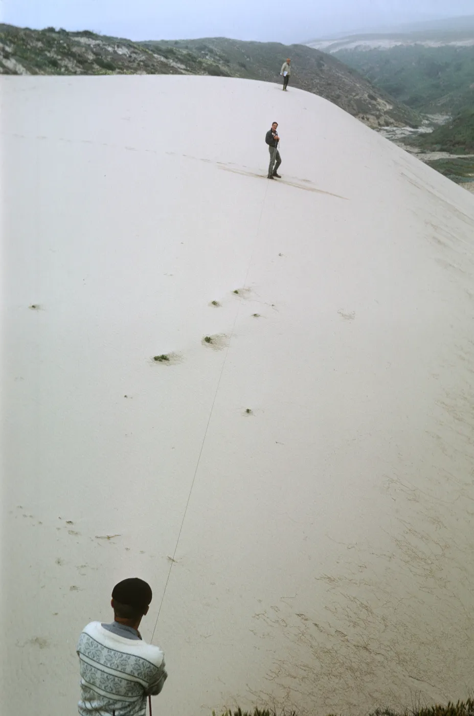 NPS dune transect, San Miguel Island