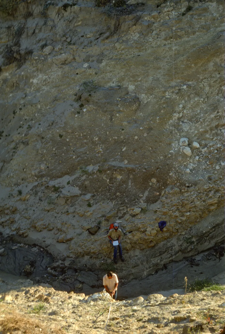 San Miguel Island, Willow Canyon