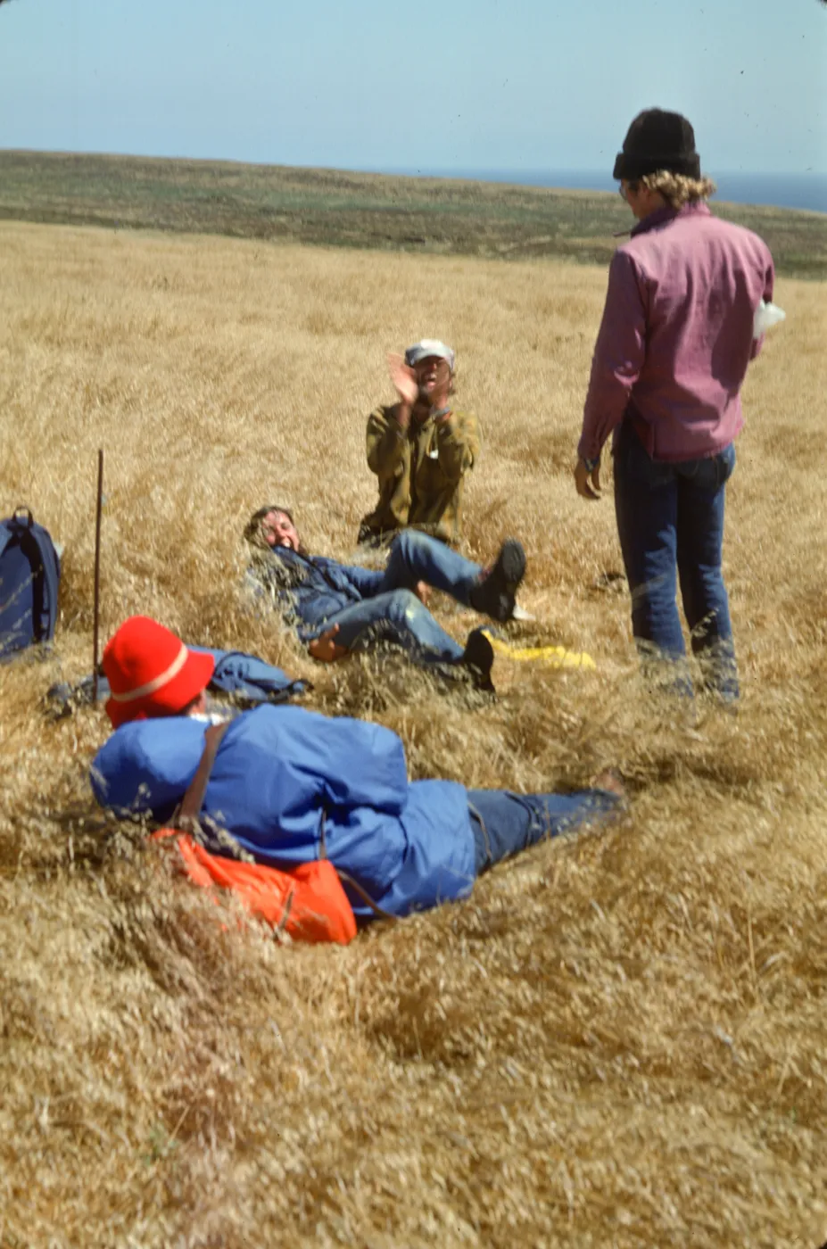 Researchers on San Miguel Island