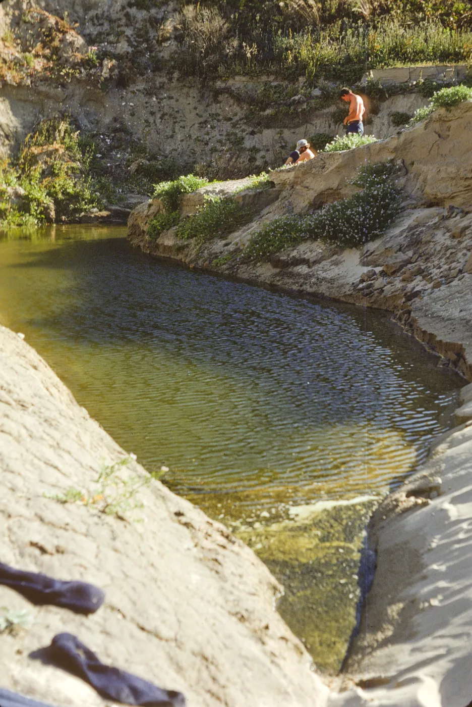 bathing in a pool in Willow Canyon, San Miguel Island