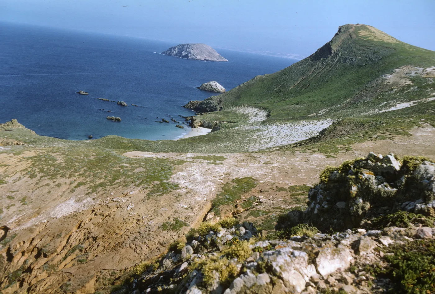 San Miguel Island, Prince Island