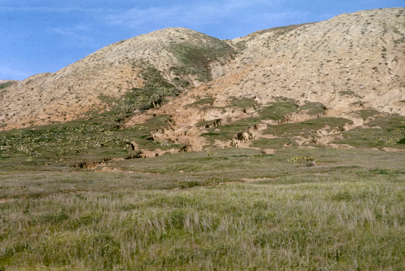 San Miguel Island