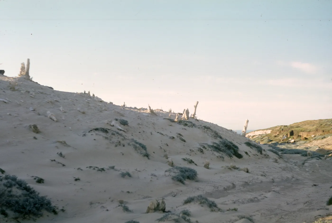 Concretions on San Miguel Island