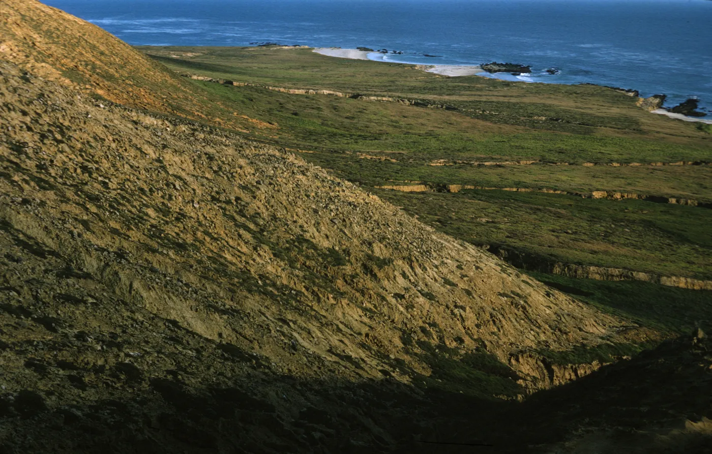 Crook Point, San Miguel Island