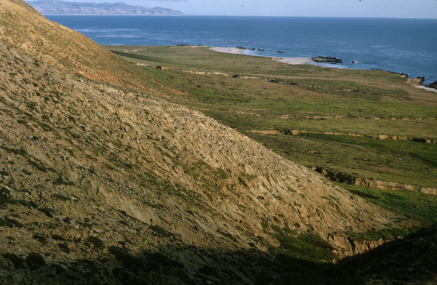 Crook Point, San Miguel Island