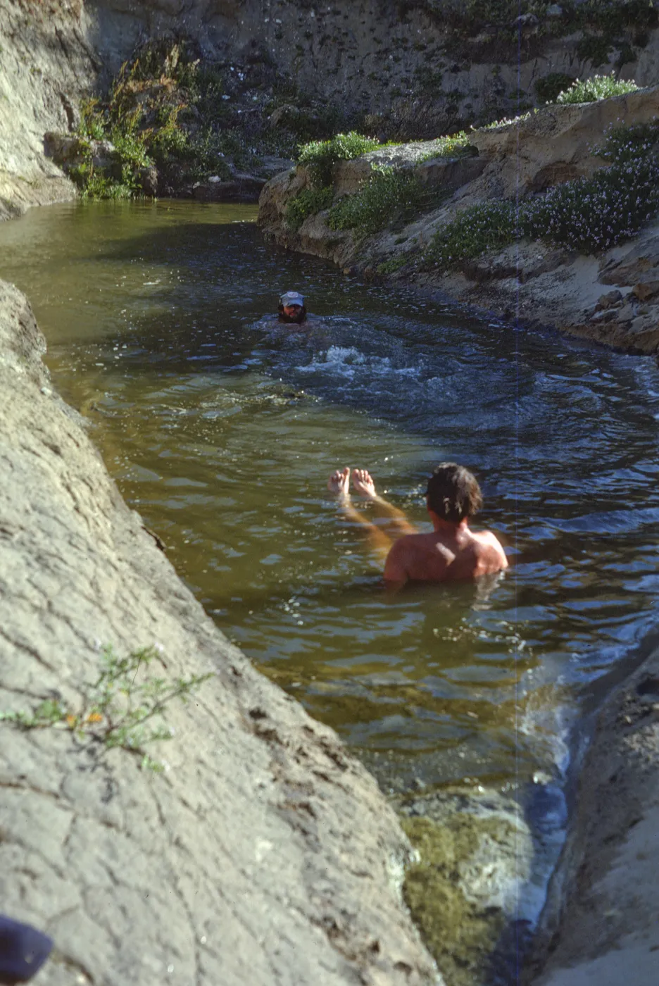 dune lake bathers, San Miguel Island