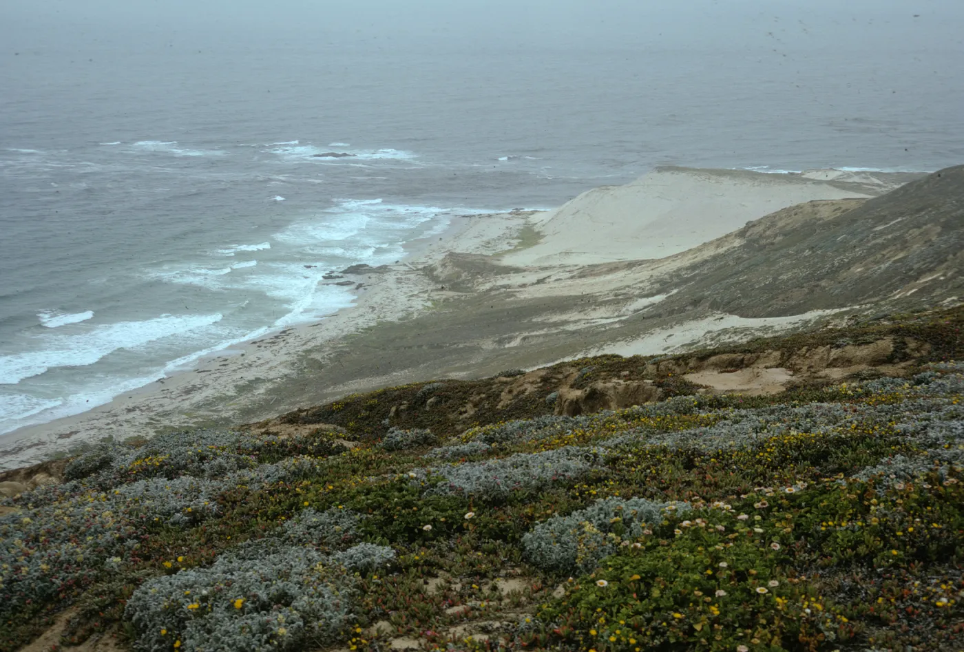 San Miguel Island