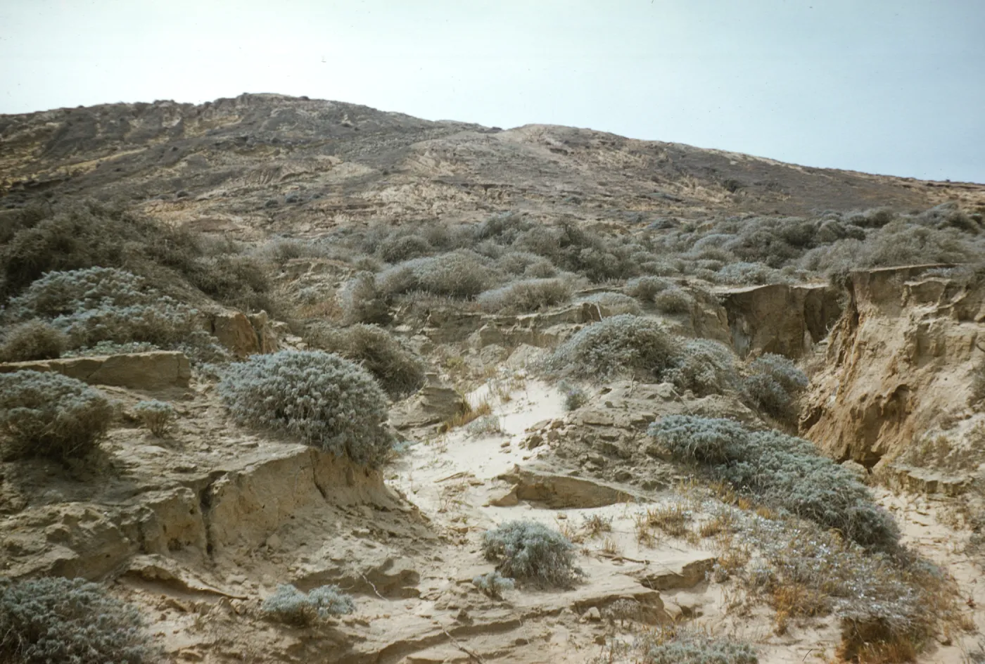 San Nicolas Island