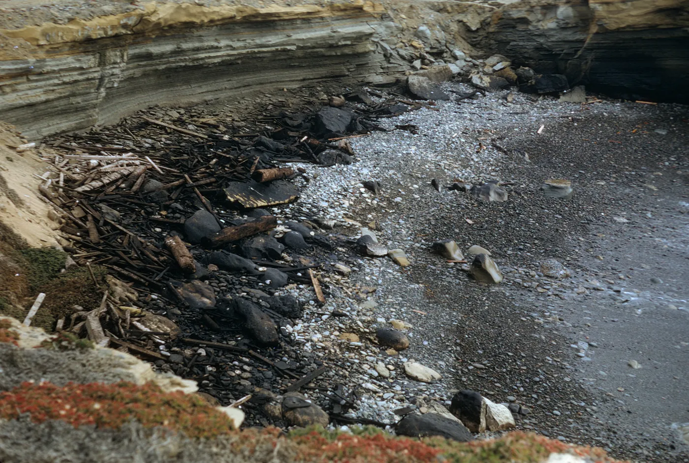 oil deposits on a rocky beach, San Nicolas Island
