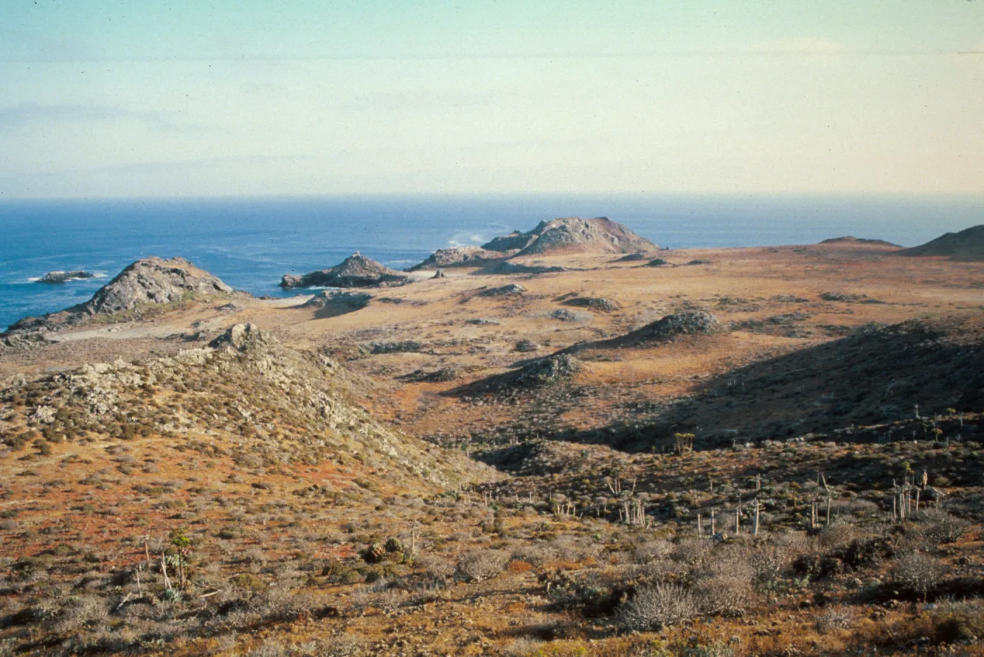 East San Benito Island