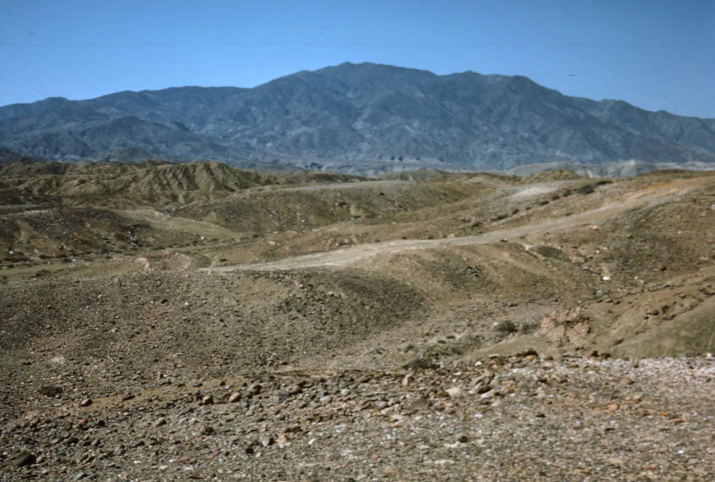 Monte Cedros, Cedros Island