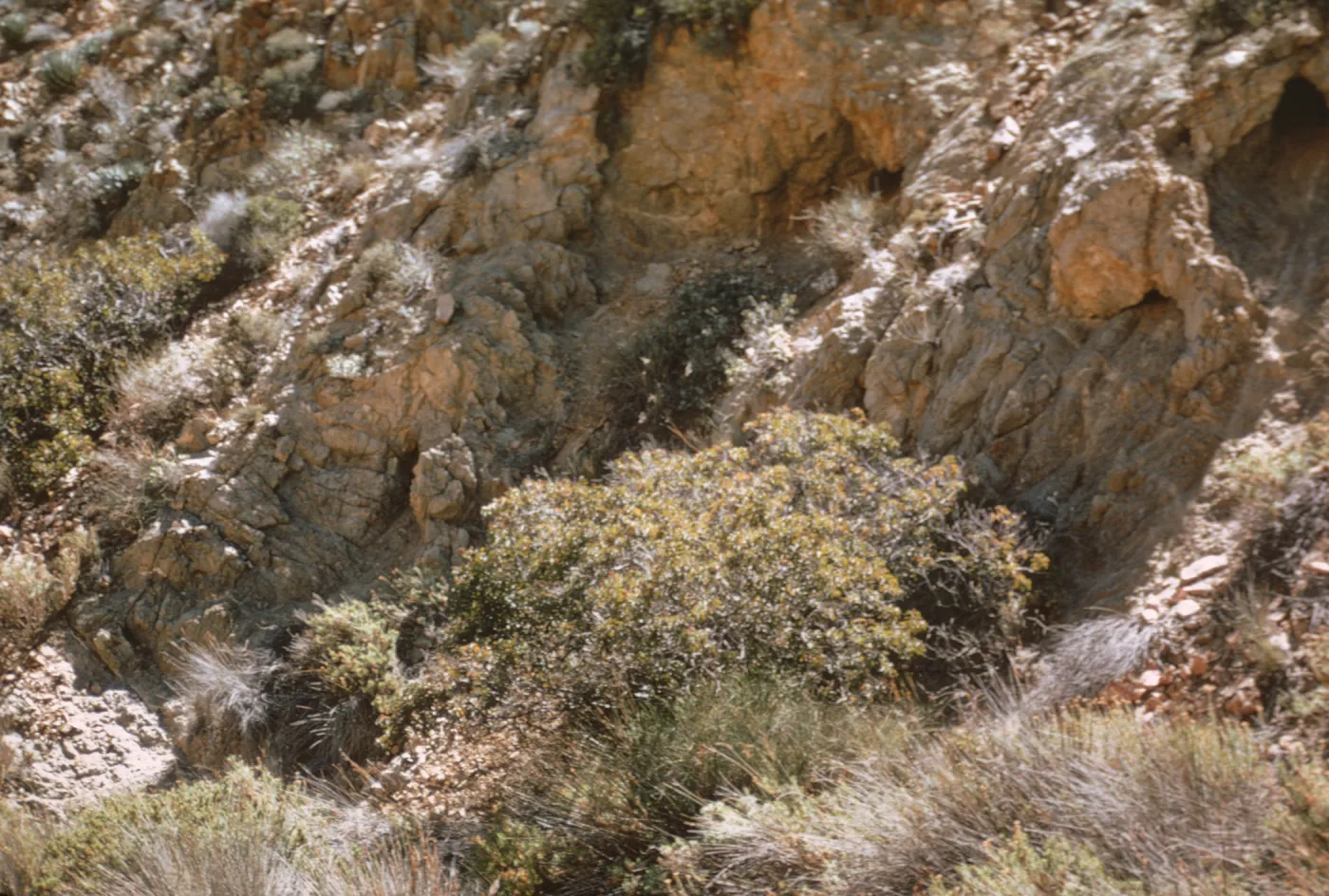 Middle Canada Punta Norte Cedros Island