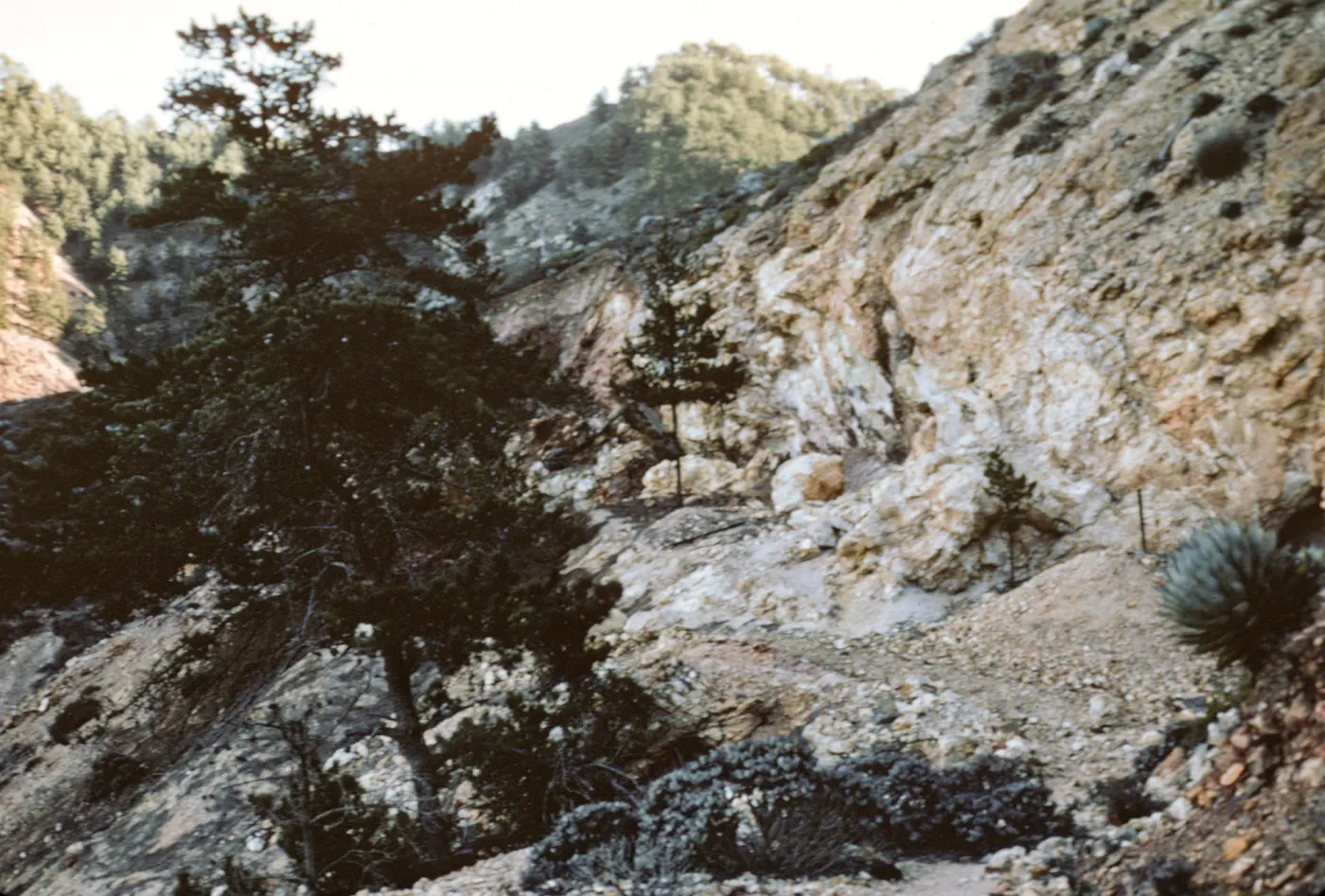 mines at Canada Mina, Isla de Cedros