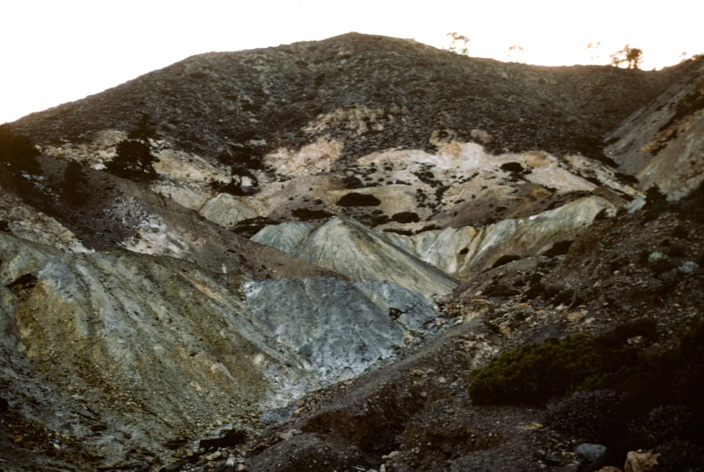upper mines, Northern Pines, Canada Mina, Isla de Cedros