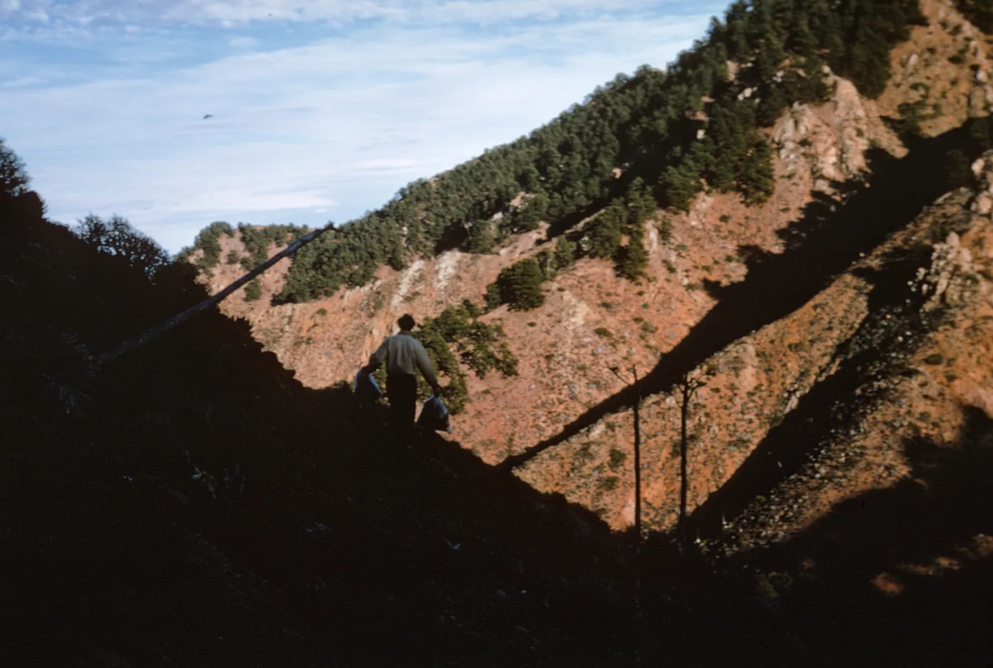 Canada Mina, Isla de Cedros