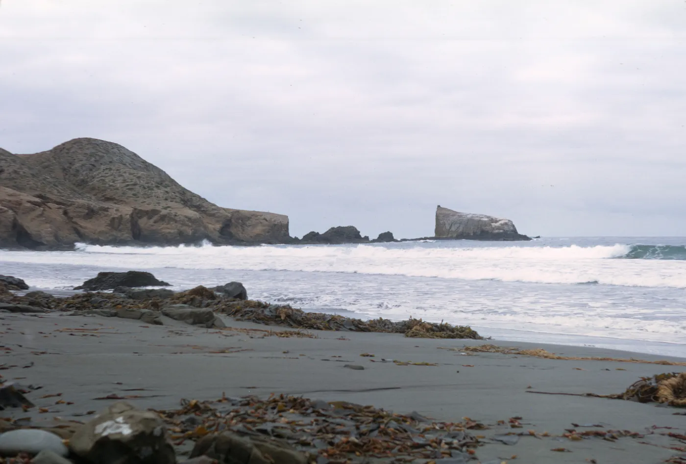 beach on Natividad Island