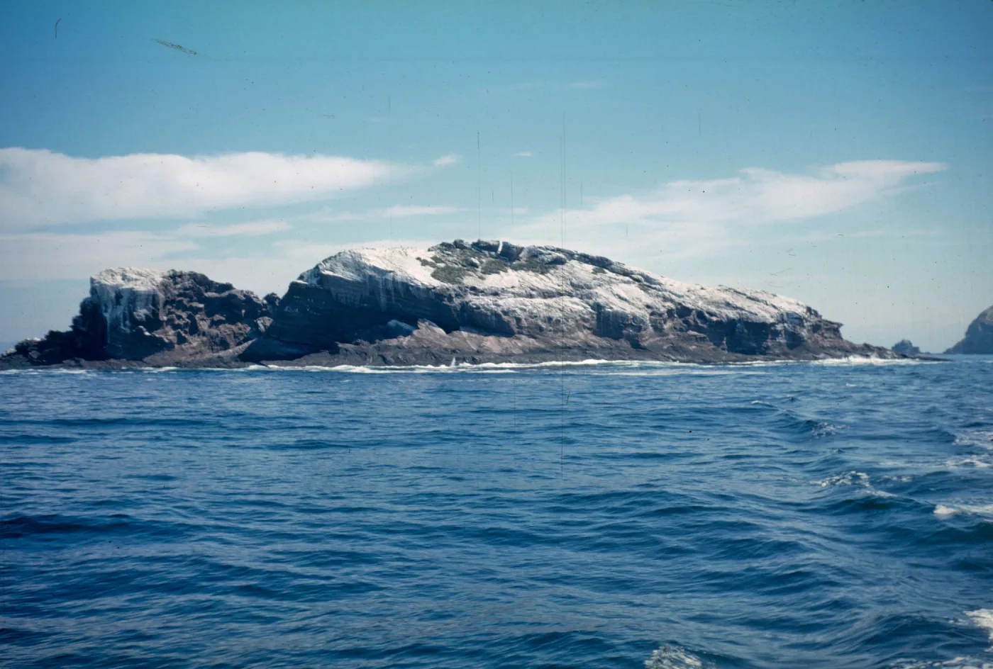 bird rocks, Middle Coronados Island
