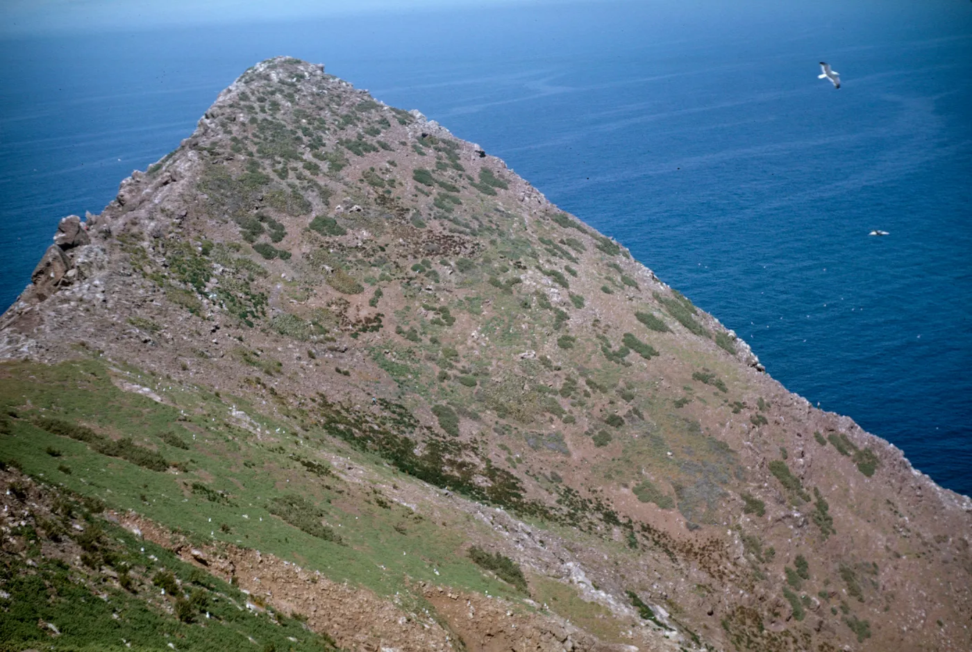 North Peak, top of North Coronados Island