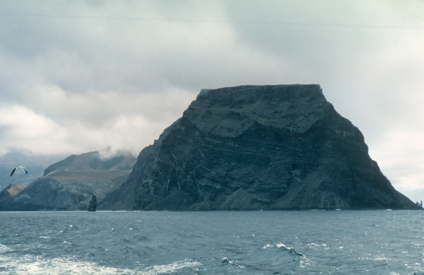 north end of Guadalupe Island, from boat
