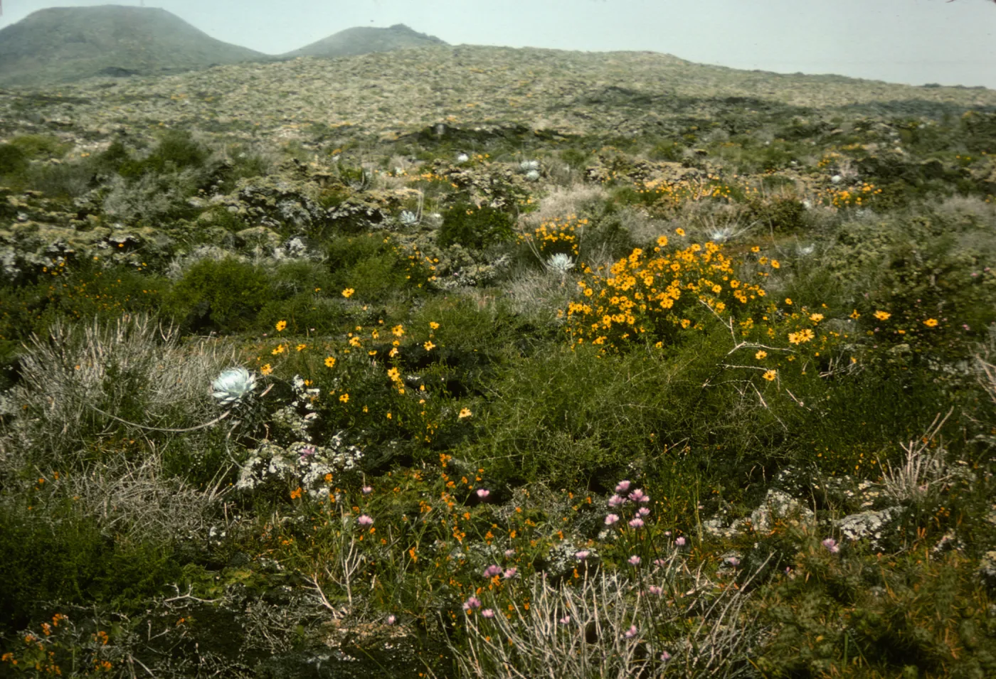 San Martin Island, peak from lagoon