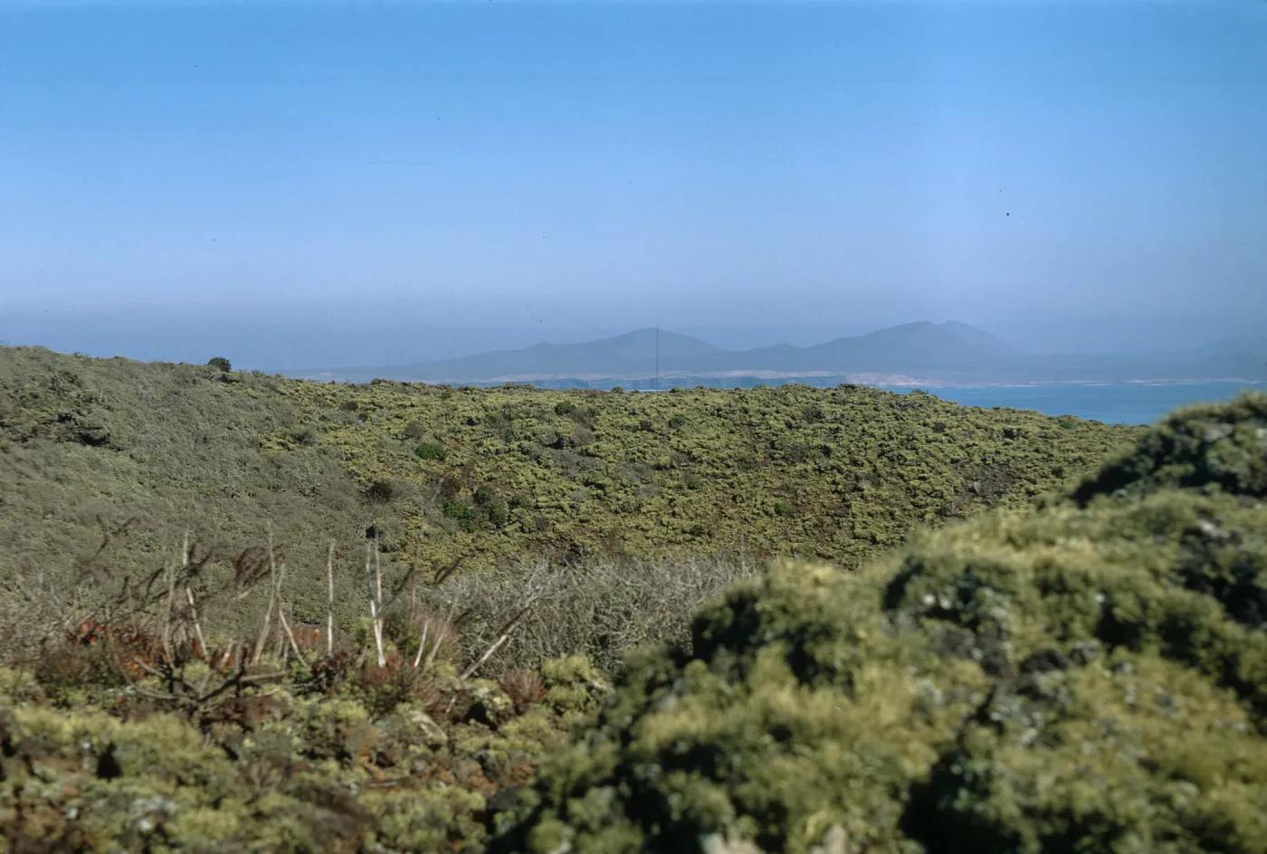 San Martin Island
