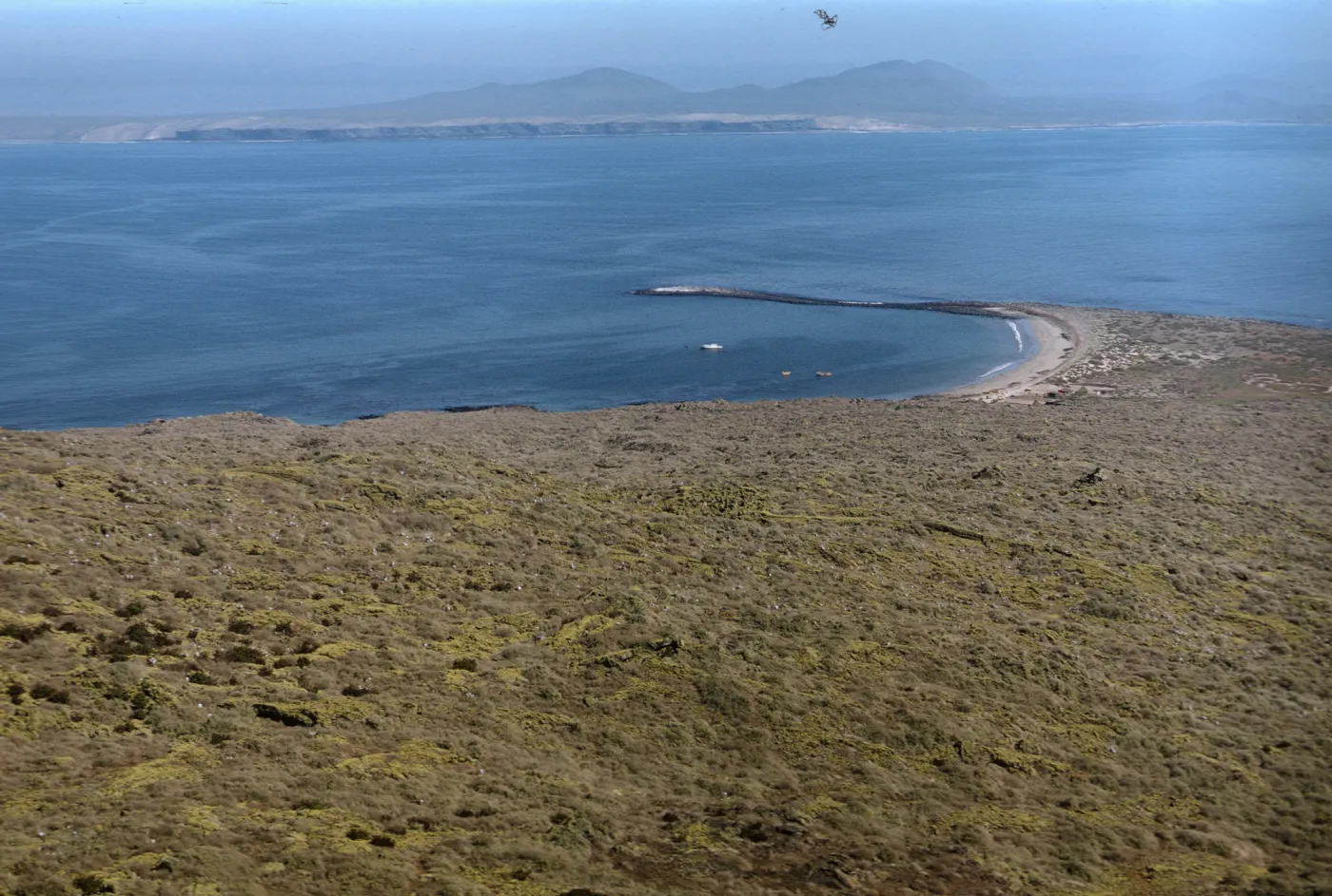 San Martin Island