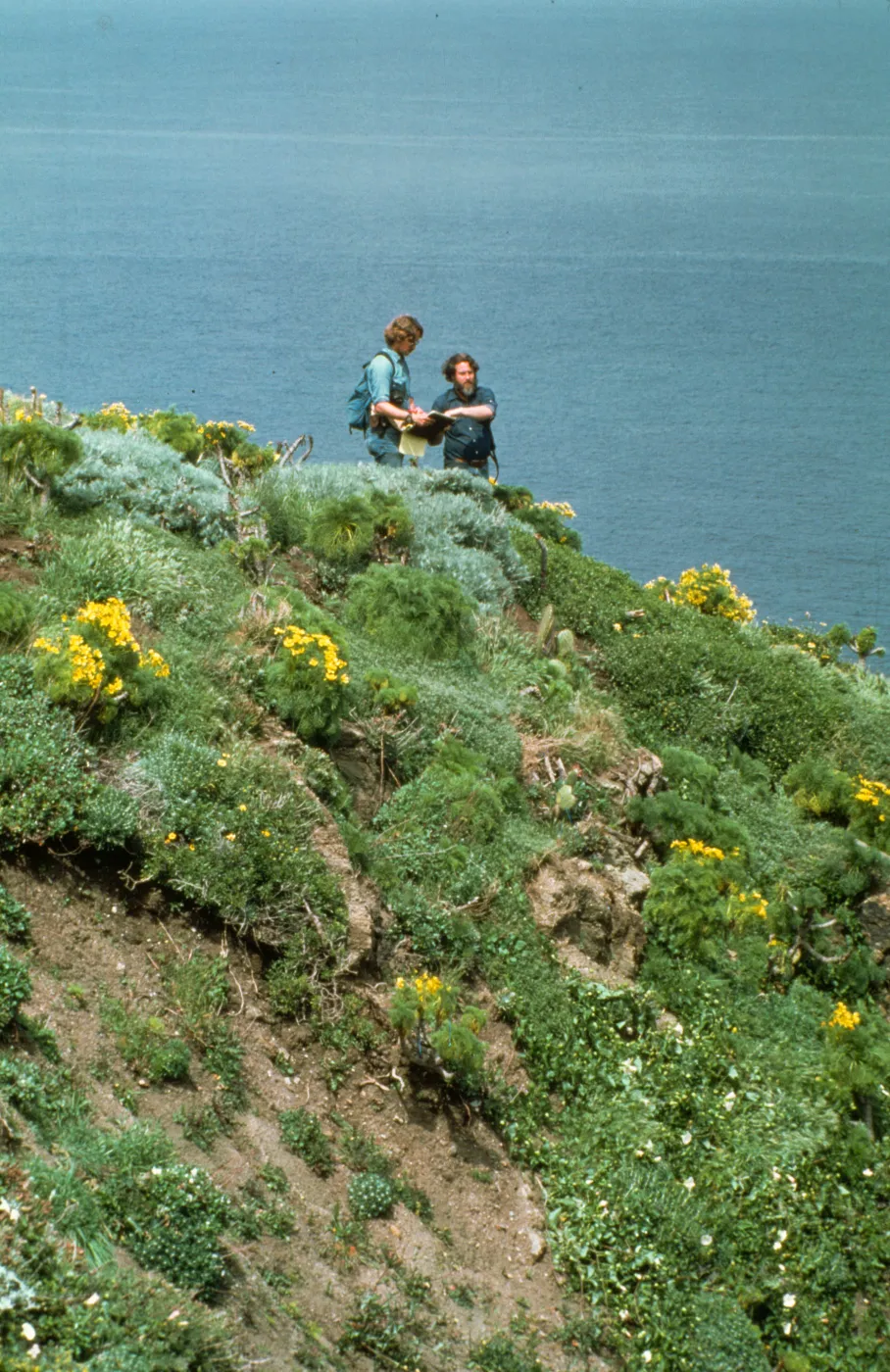 Anacapa Island