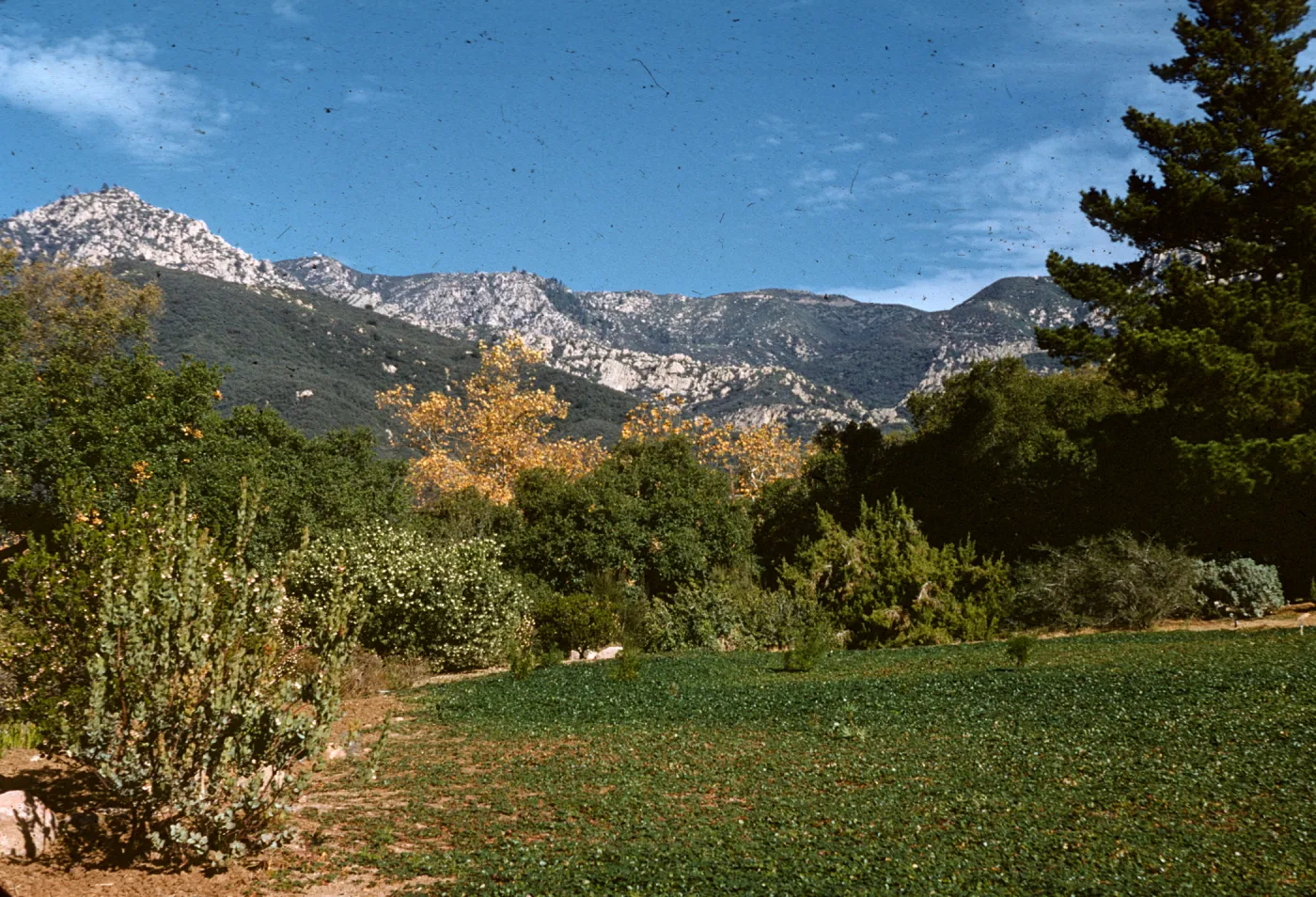 upper meadow and Santa Ynez Mountains; (Meadow 1940s-1950s)