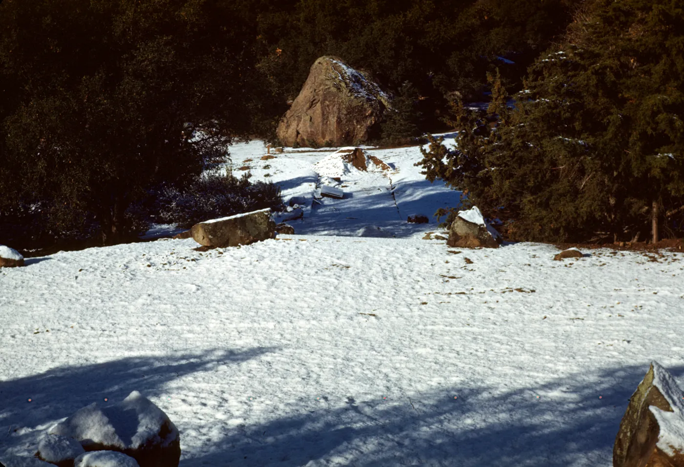Snow in Garden, Blaksley Boulder, January 1949