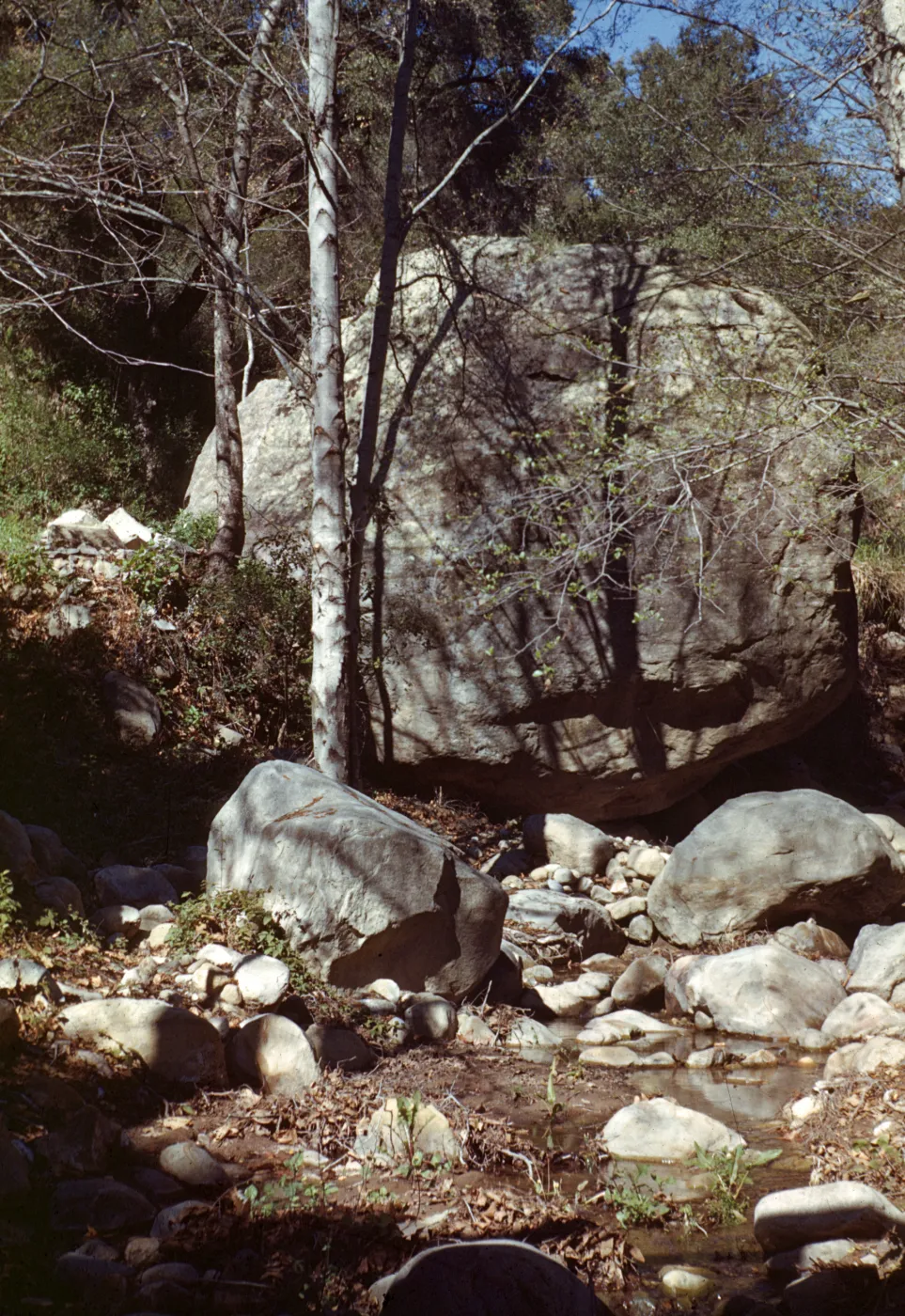 Lassiter Boulder