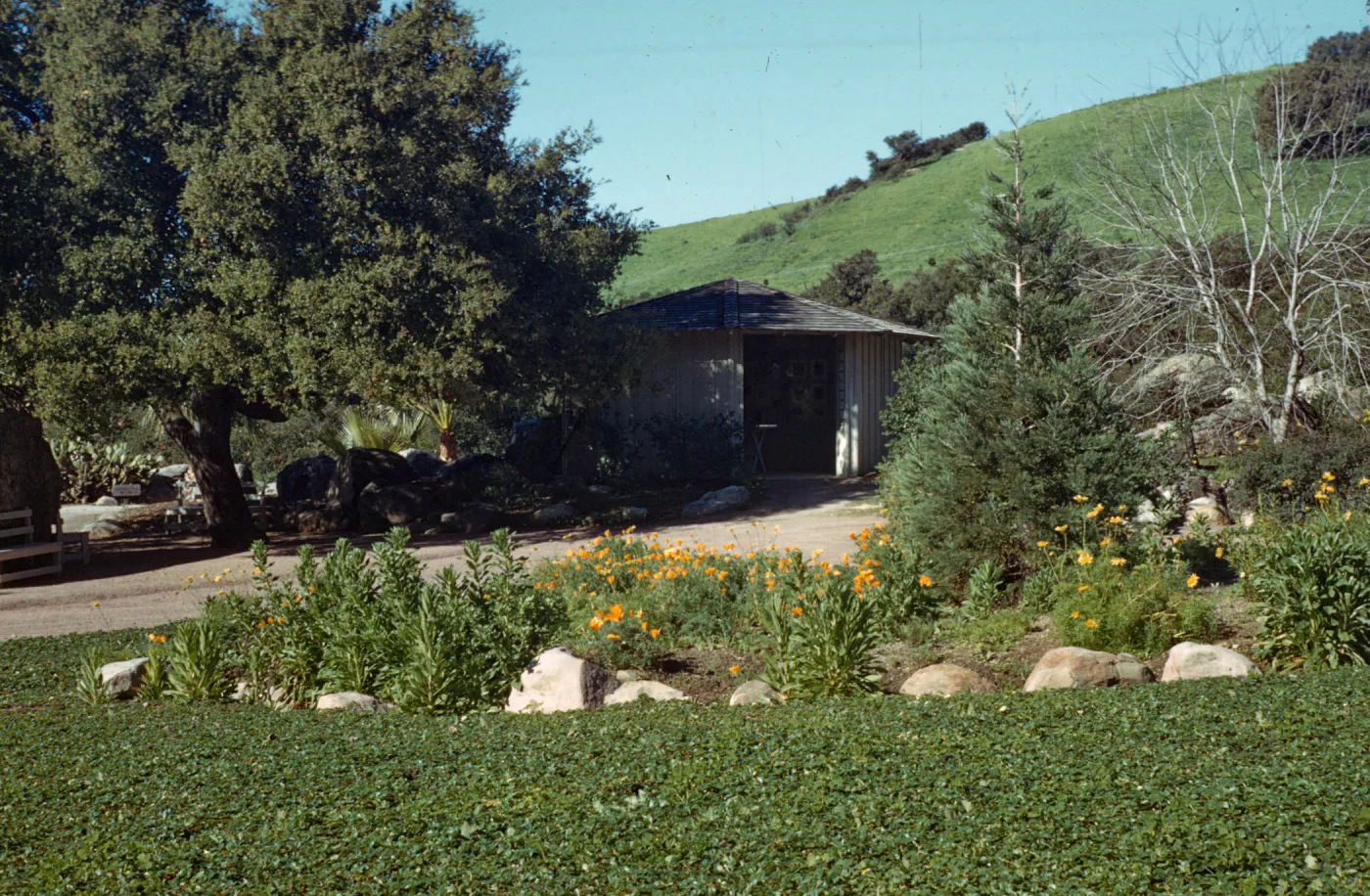 Information Kiosk, strawberry in meadow