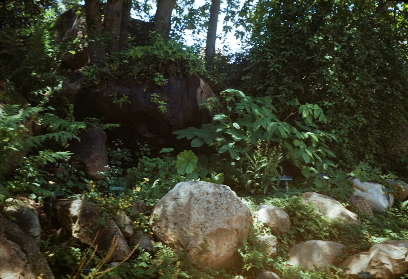 Dripping rock, Arroyo Section