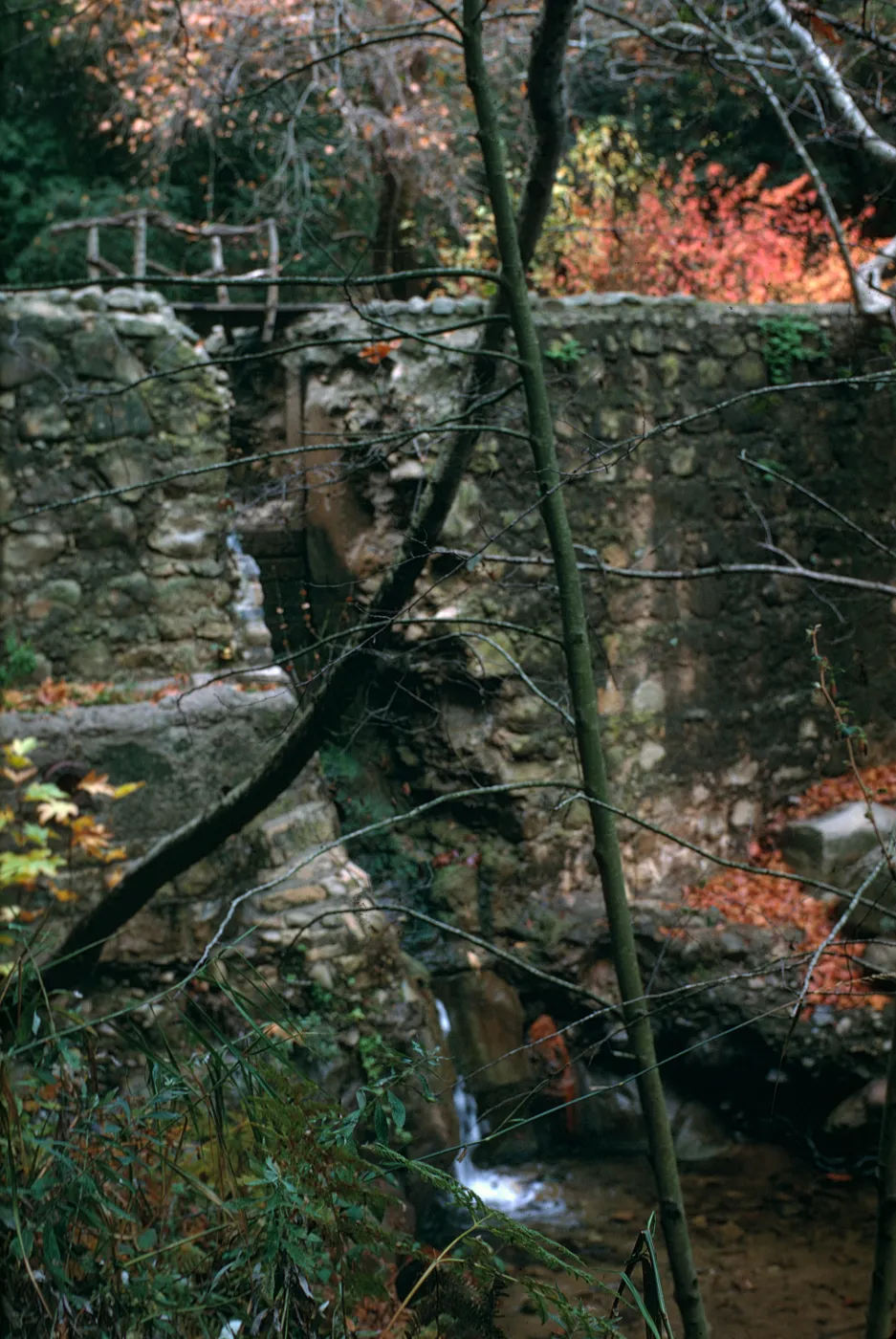 Old Mission Dam, Fall 1970 