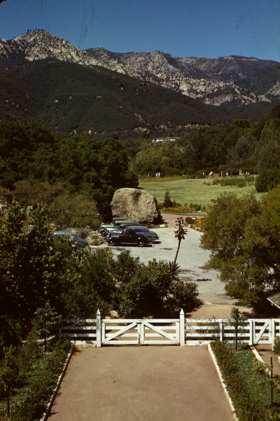 Meadow and mountain view from the top of the Blaksley Library, Members' Day, April 16, 1944, S.B. Botanic Garden