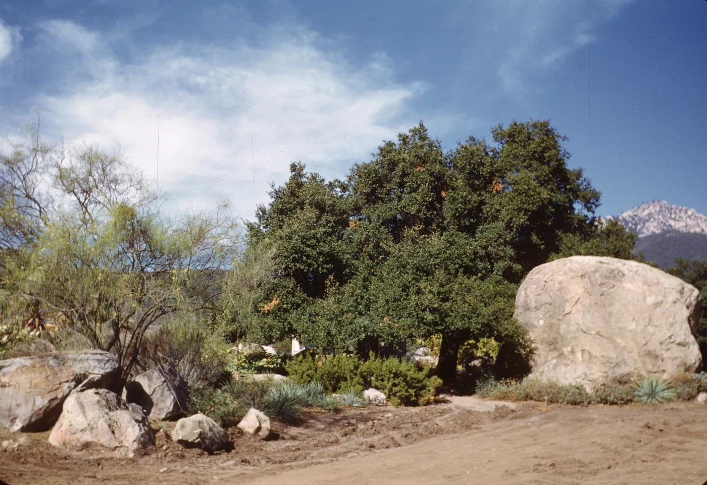 grading the new Desert Section (old parking lot) adjacent to the Blaskley Boulder