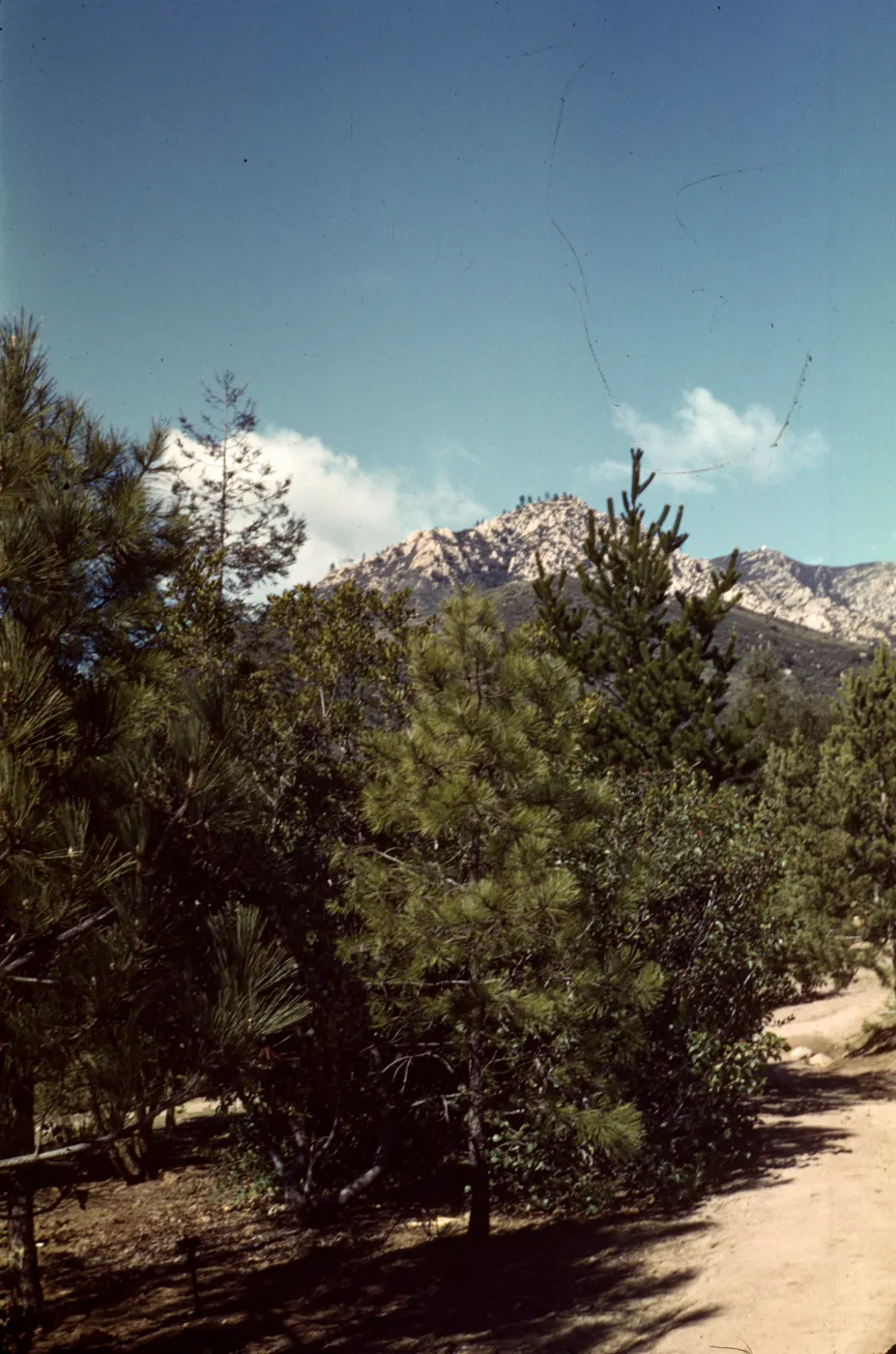 Old Foothill Section