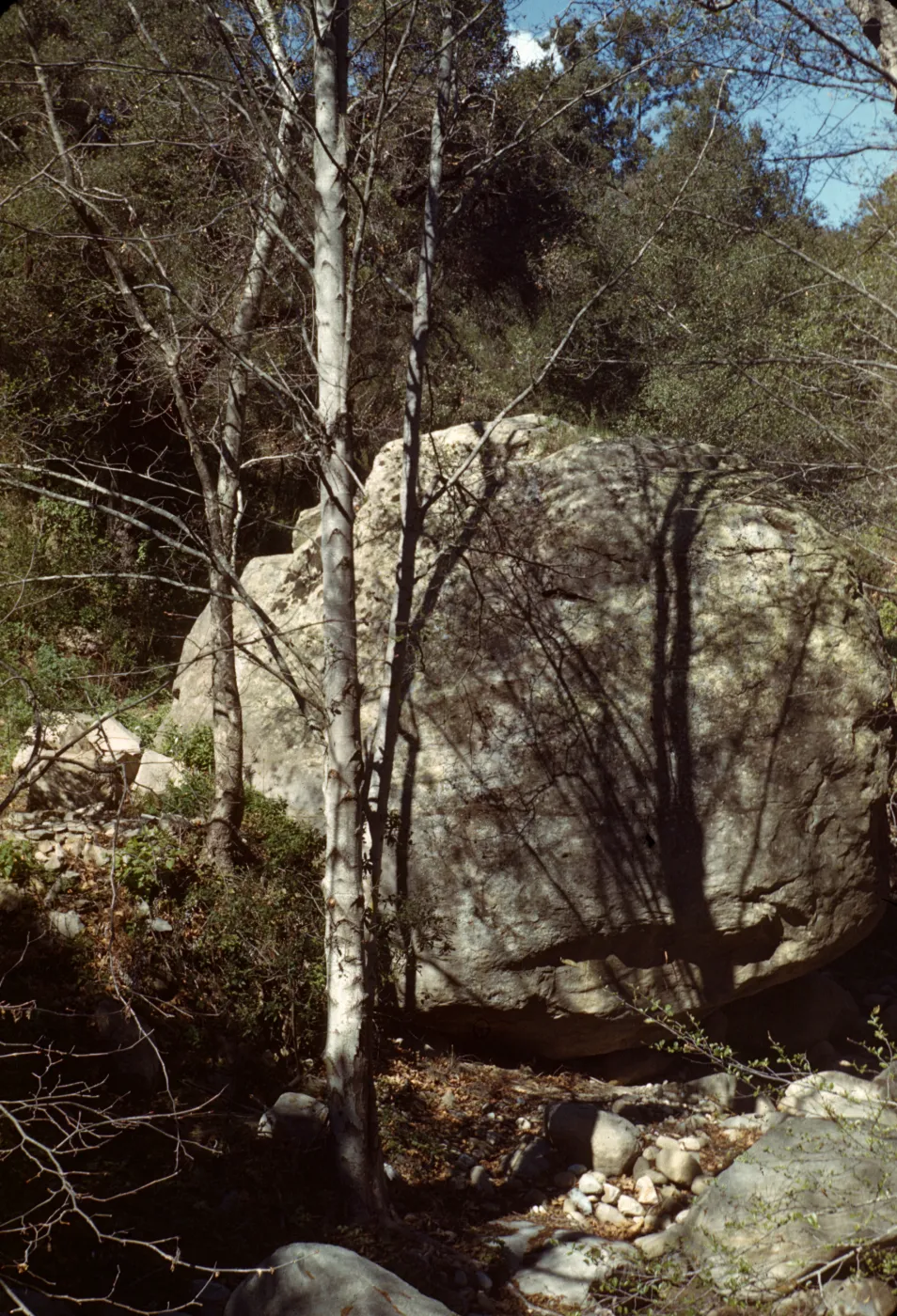 Lassiter Boulder, Mission Creek, Mission Canyon