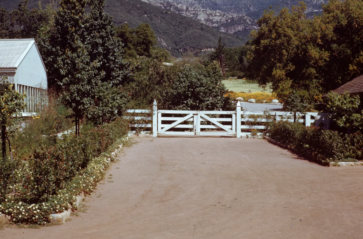 Courtyard view from Library steps