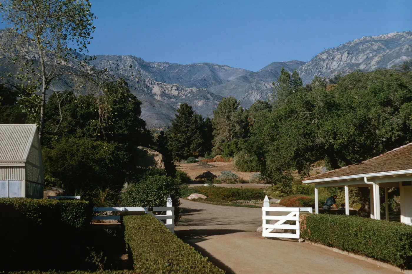 View of Garden with burned slopes of Santa Ynez, after the Coyote Fire, Courtyard