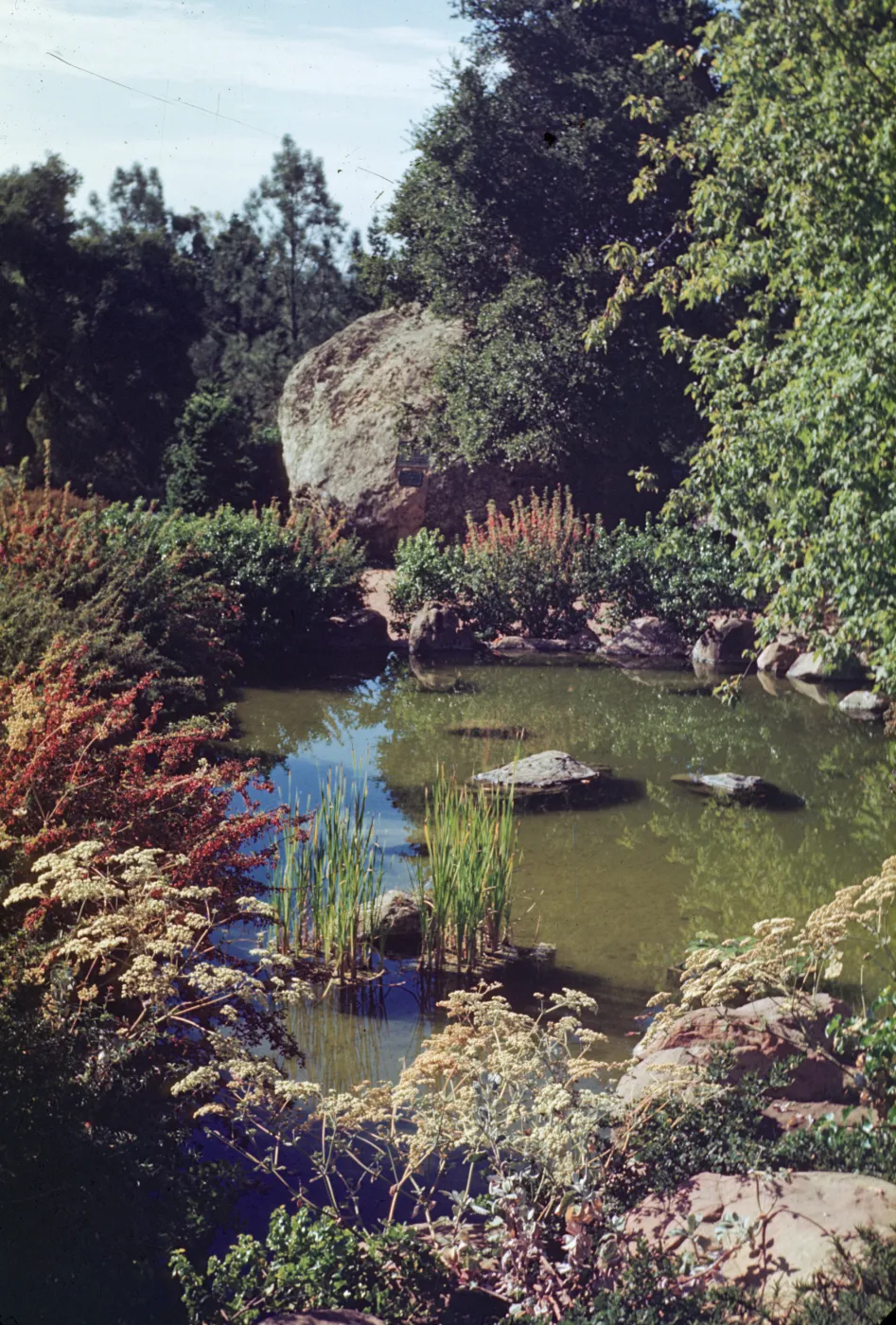 Meadow Pond and Blaksley Boulder