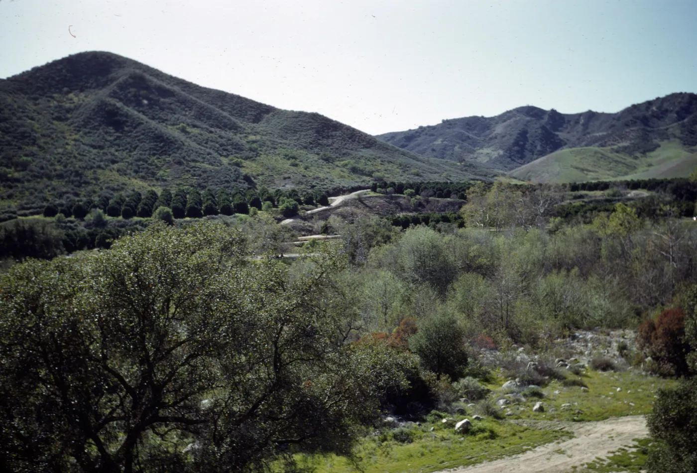 view from Steckel Park