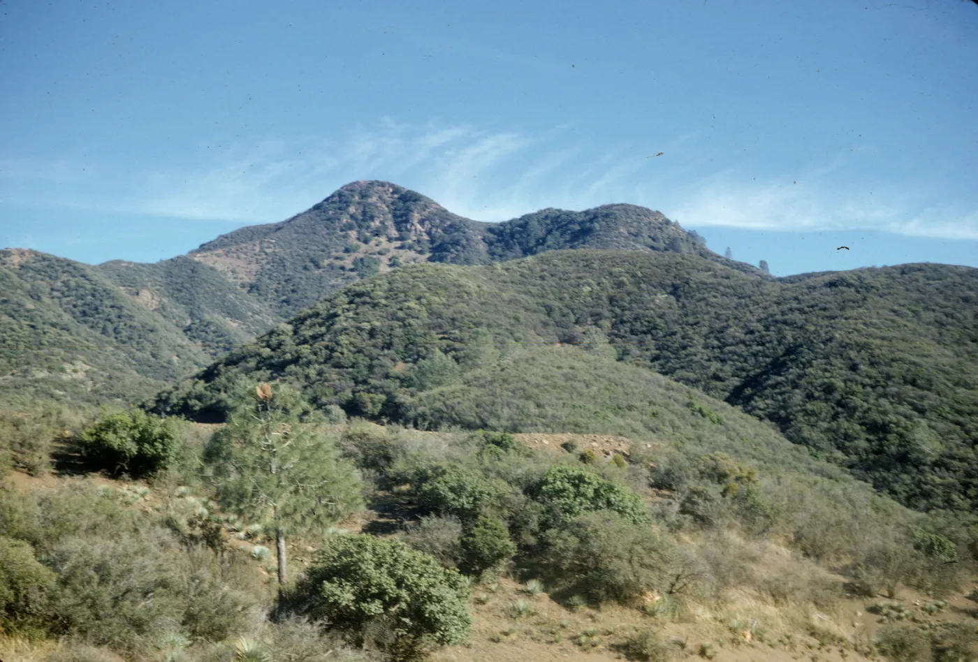 Figueroa Mountain