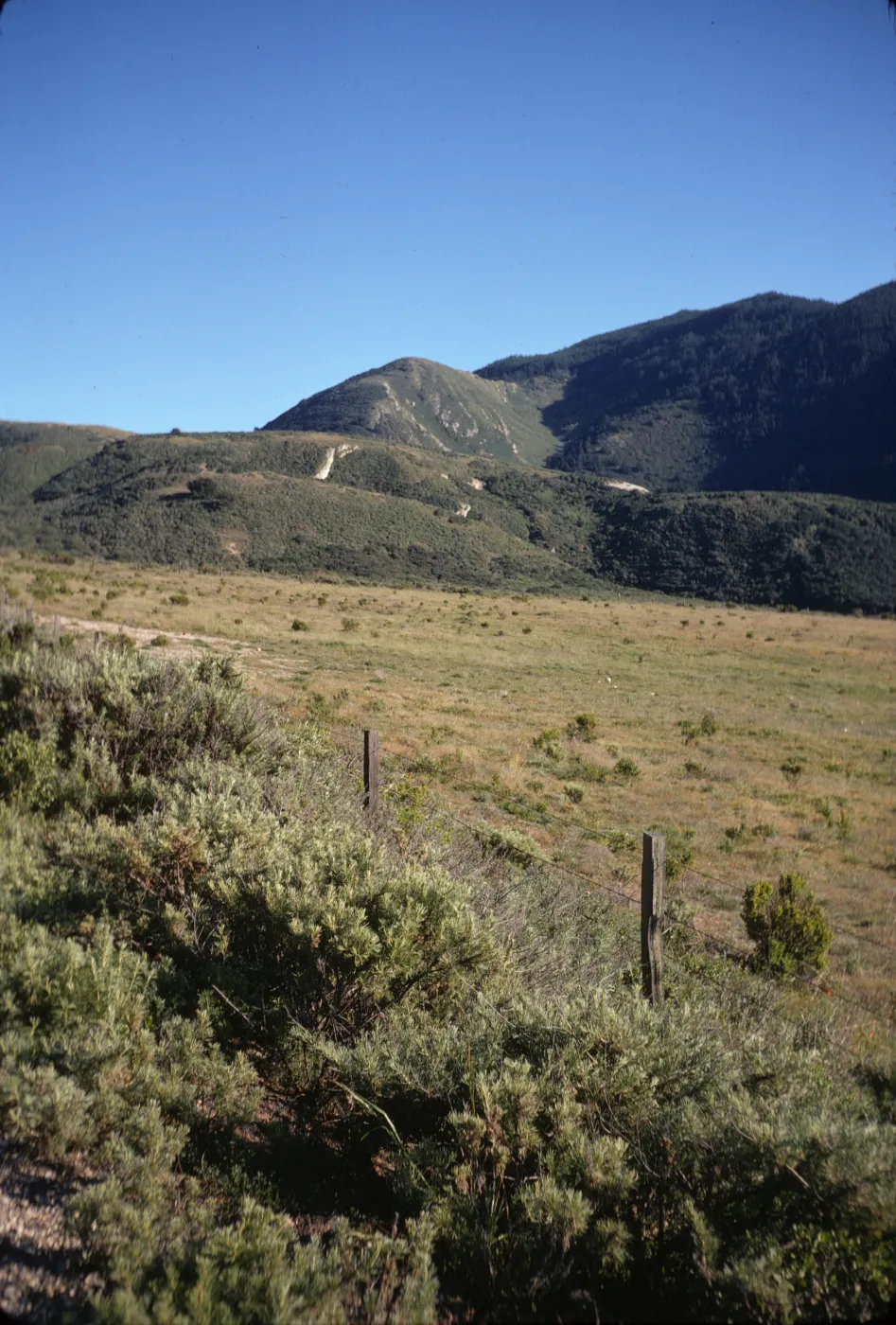 Montana de Oro